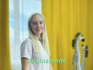 Edwinabunte