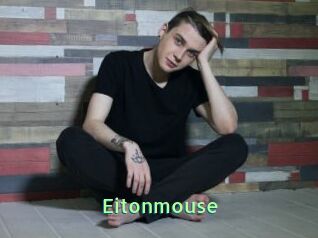 Eitonmouse