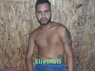 Eliashott