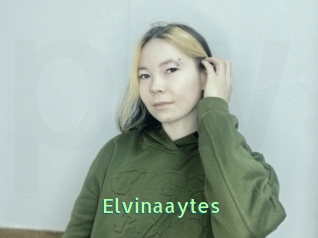 Elvinaaytes