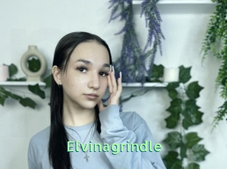 Elvinagrindle