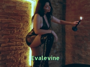 Evalevine