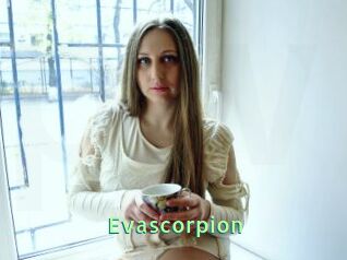 Evascorpion