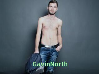 GavinNorth
