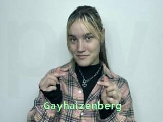 Gayhaizenberg