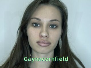 Gaynacornfield