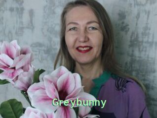 Greybunny