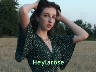 Heylarose