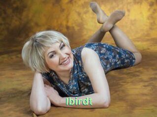 Ibirdt