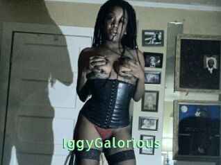 IggyGalorious