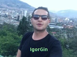 IgorGin