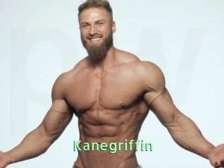 Kanegriffin