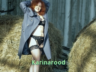 Karinarood