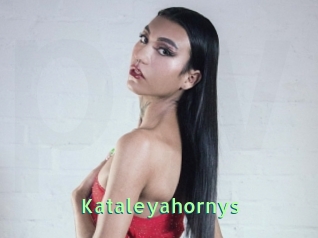 Kataleyahornys