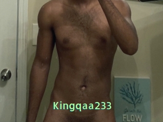 Kingqaa233