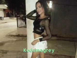 Kodamagrey