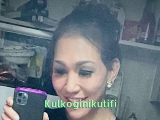 Kulkoginikutifi
