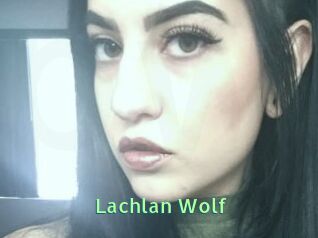 Lachlan_Wolf