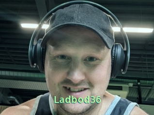 Ladbod36