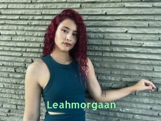 Leahmorgaan