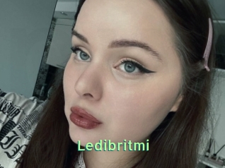 Ledibritmi