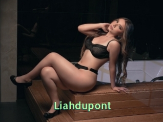 Liahdupont