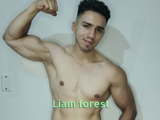 Liam_forest