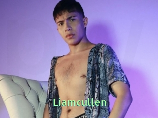 Liamcullen