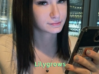 Lilygrows