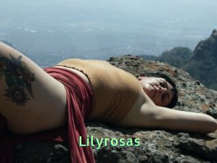 Lilyrosas