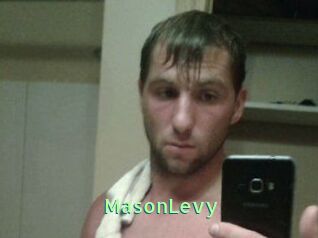 Mason_Levy