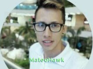 MateoHawk