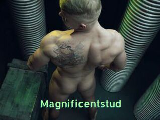 Magnificentstud