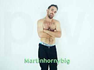 Martinhornybig