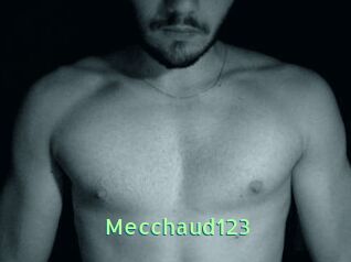 Mecchaud123