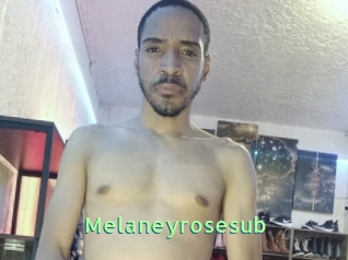 Melaneyrosesub
