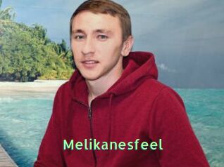 Melikanesfeel