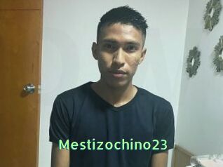 Mestizochino23