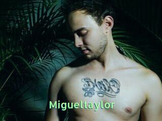 Migueltaylor