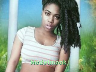 Modelmook