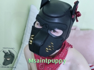 Msaintpuppy