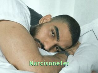 Narcisonefer