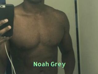 Noah_Grey