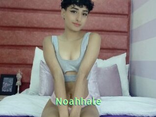 Noahhale