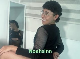 Noahsinn