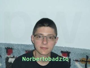 Norbertobadzso