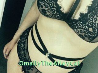 OmallyTheAlleyCat