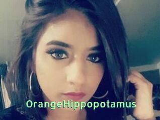 OrangeHippopotamus