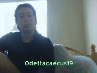 Odettacaecus19
