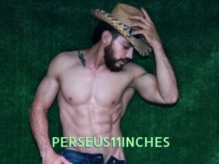 PERSEUS11INCHES